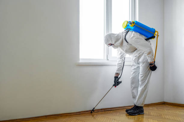 Trusted Columbine Valley, CO Pest Control Experts