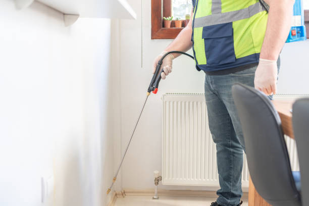 Best Pest Removal Services  in Lumbine Valley, CO