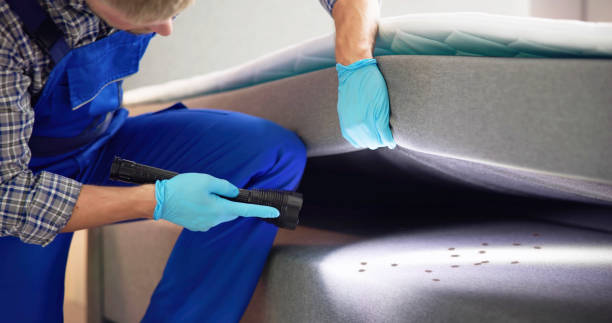 Best Commercial Pest Control Services  in Lumbine Valley, CO