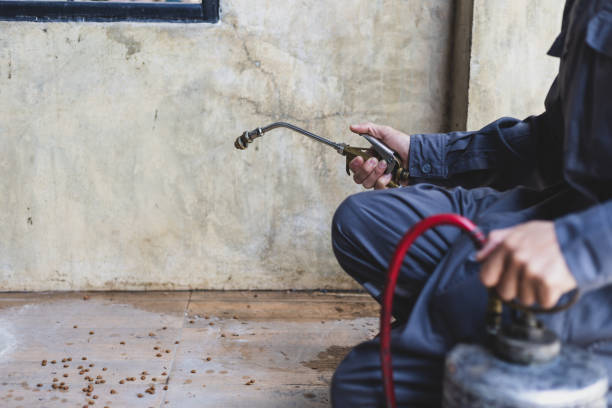Best Residential Pest Control  in Lumbine Valley, CO
