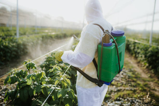 Best Pest Control Near Me  in Lumbine Valley, CO